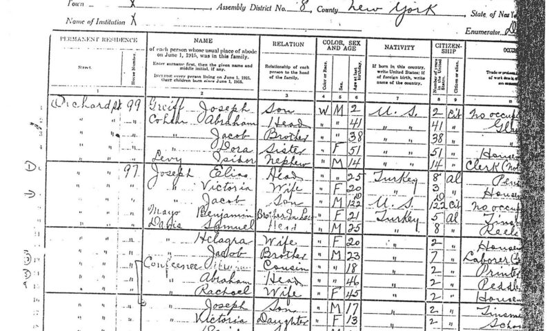 1915-census-lesson-plans-primary-sources-L-El-1_1584x1150_acf_cropped