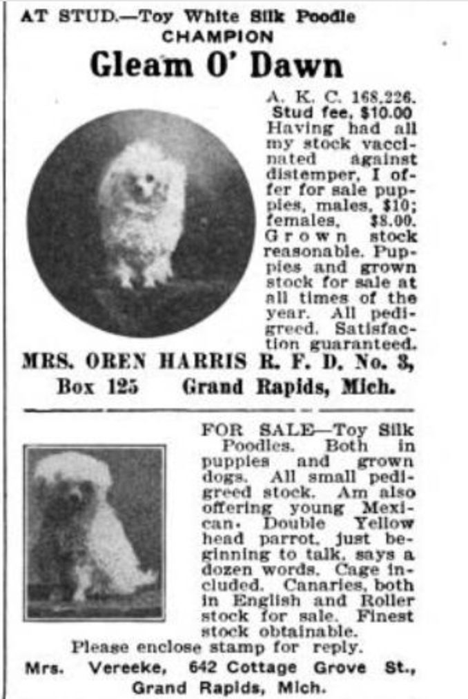 Newspaper Clipping, Dogs