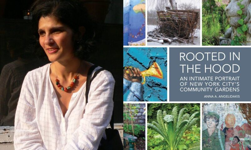 Collage with two images. (Left) Anita Angelikas in a white shirt. (Right) Cover of her book "Rooted in the Hood".