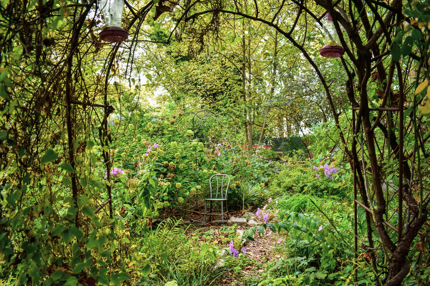 Past a floral archway, a lone chair is seen in the midst of a bountiful, lush garden full of vibrant plants and flowers