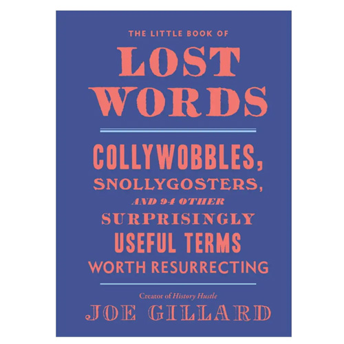 Book Cover for The Little Book of Lost Words by Joe Gillard